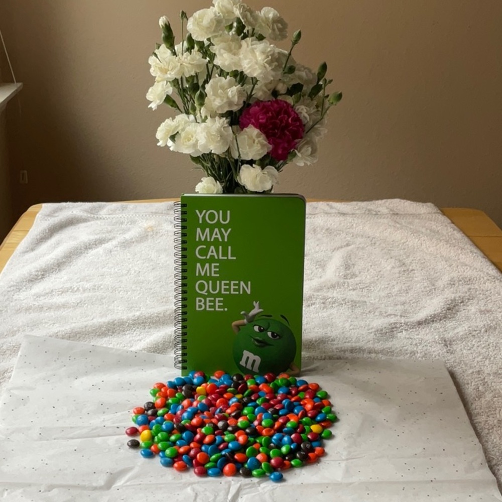 📗💙 M&M’S NOTEBOOK 📗💙 - Picture 8 of 16